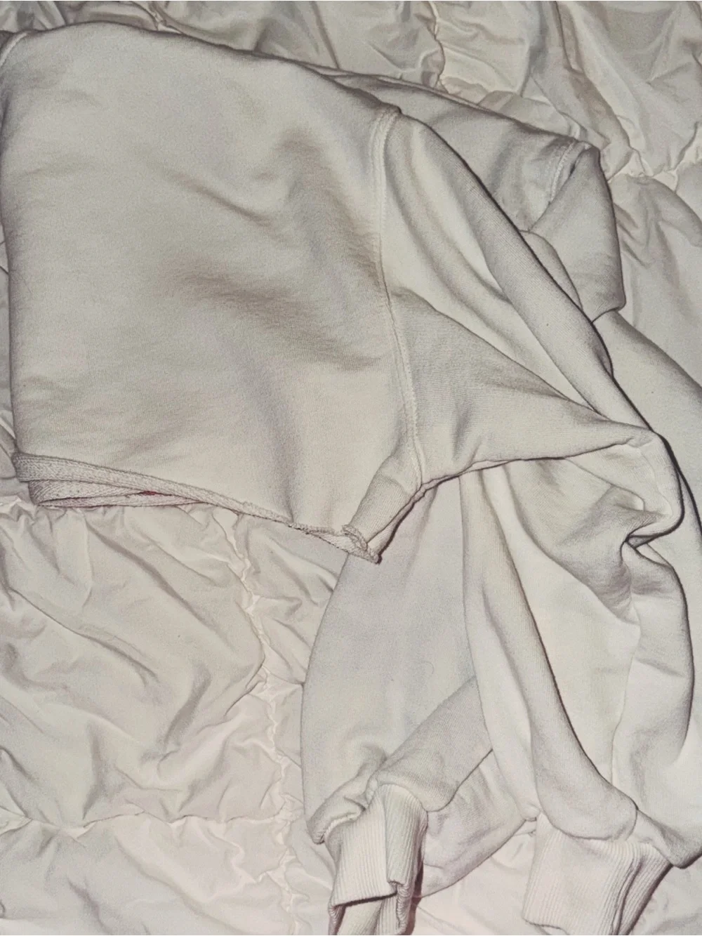 NWOT White Ultra-Cropped Florida Sunshine State Sweatshirt
